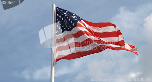 Image of USA flag
