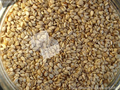 Image of Sesame seeds
