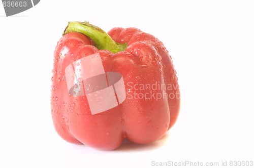 Image of fresh red pepper