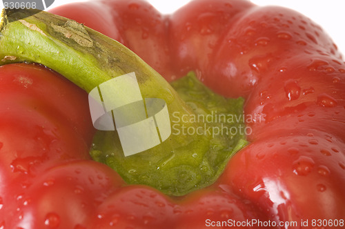 Image of macro red pepper
