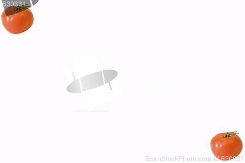 Image of tomato background1