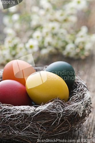 Image of Eater eggs