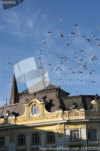 Image of old bulding and flying pigeons