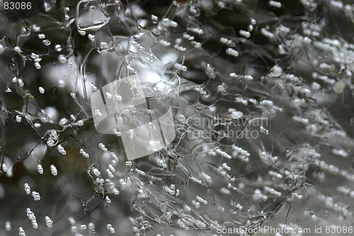 Image of bubble in ice