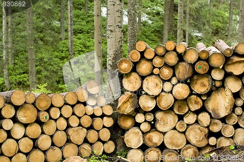 Image of Logs