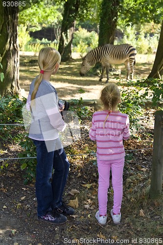 Image of In the zoo