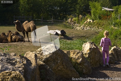 Image of In the zoo