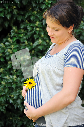 Image of Pregnant woman holding her belly and yellow flower