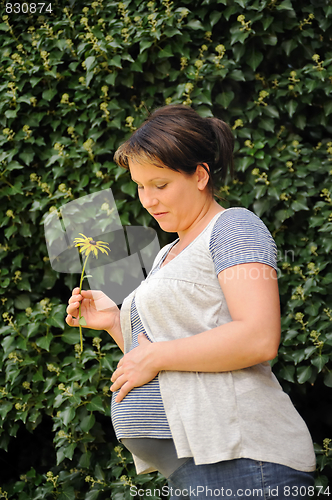 Image of Pregnant woman holding her belly and yellow flower