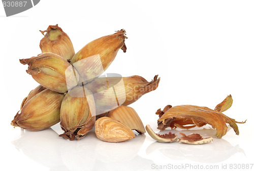 Image of Hazelnuts