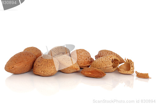 Image of Almond Nuts