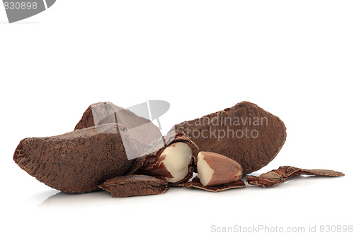 Image of Brazil Nuts