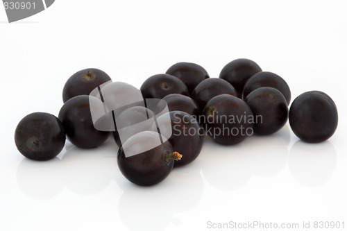 Image of Blueberry Fruit