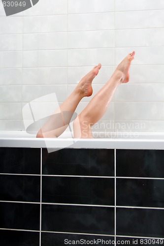 Image of Woman legs