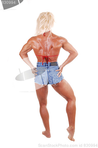 Image of Bodybuilding woman.
