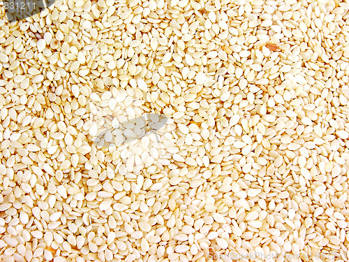 Image of Grains, seeds