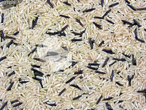 Image of rice