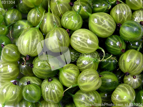 Image of Green gooseberry