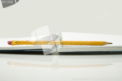 Image of chewed pencil