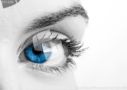 Image of Blue eye
