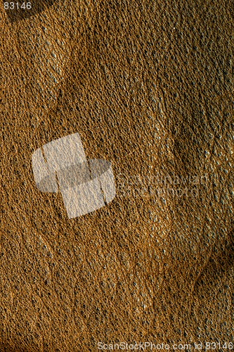 Image of Old tattered leather.