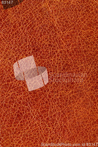 Image of textured  leathe