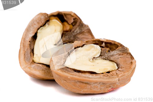 Image of Walnuts In Love