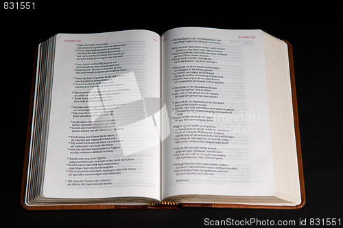 Image of Bible