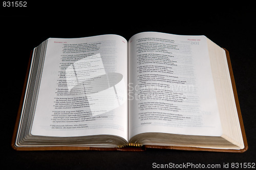 Image of Bible