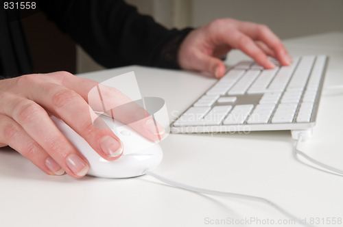Image of Working In An Office