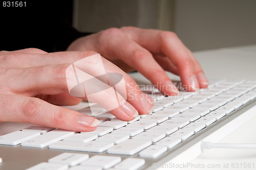 Image of Working In An Office