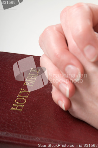 Image of Praying Hands On Bible