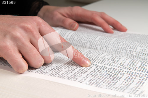 Image of Studying The Bible