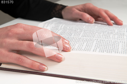 Image of Studying The Bible