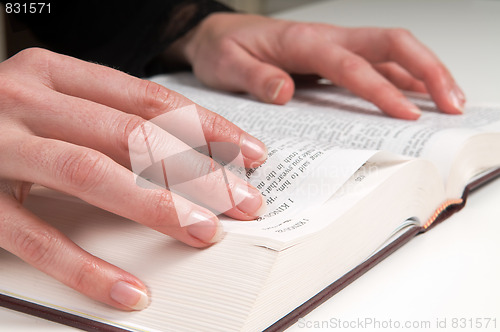 Image of Studying The Bible