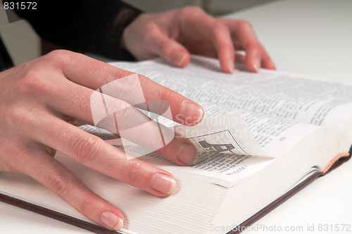Image of Studying The Bible