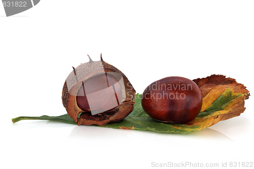Image of Chestnuts