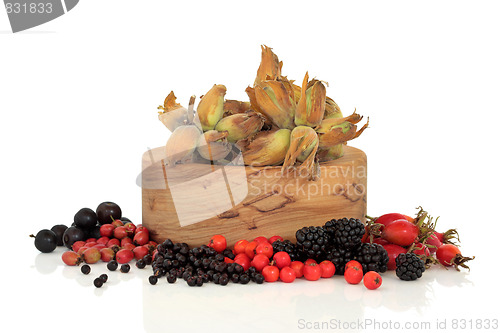 Image of Wild Food of Autumn