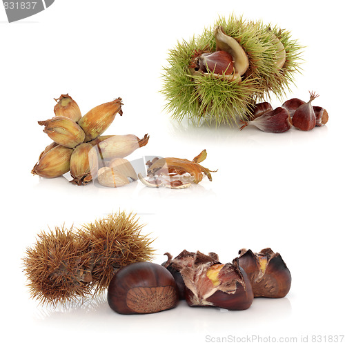 Image of Wild Nuts