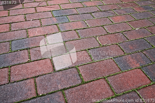 Image of Pavement