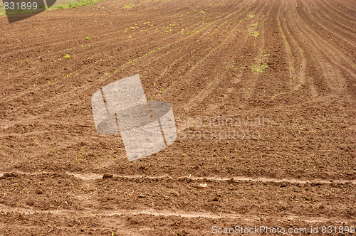 Image of Agriculture