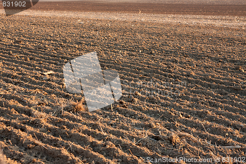 Image of Soil