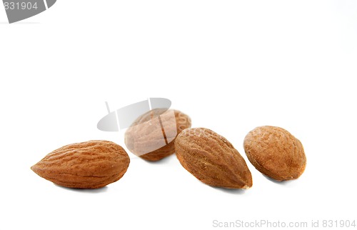 Image of Almond