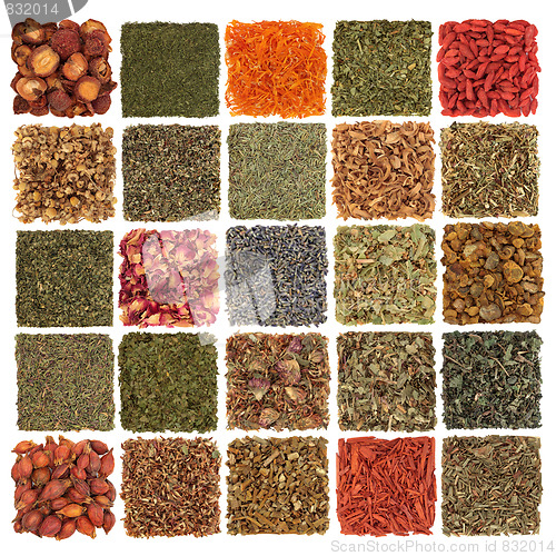 Image of Herb, Spice, Fruit and Flower Selection