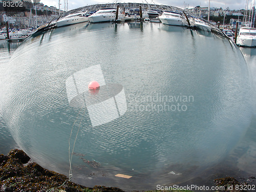 Image of belly point