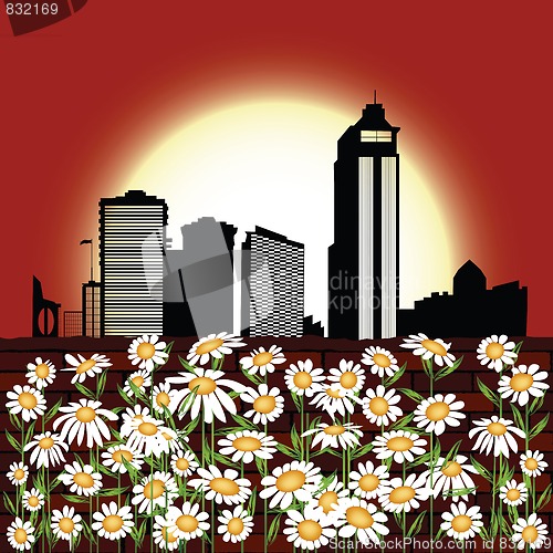 Image of Urban flowers