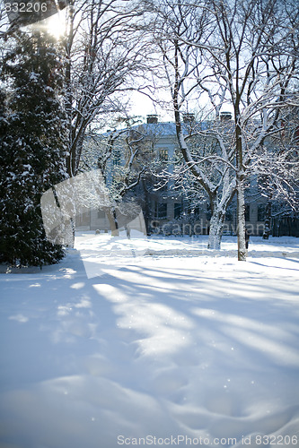 Image of Winter scene