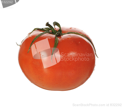 Image of red tomato