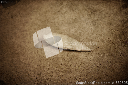Image of shell