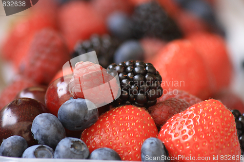 Image of forest fruits